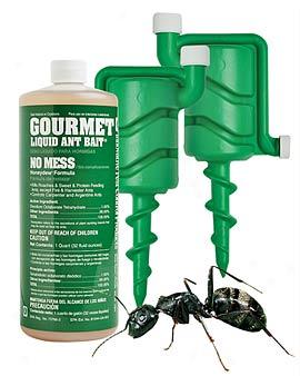 Ant Control System