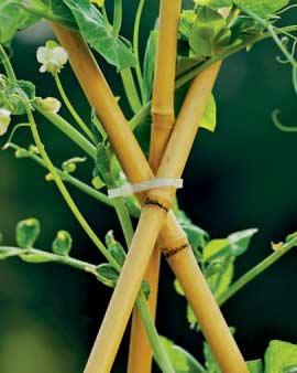Bamboo Zip Ties, Set Of 50