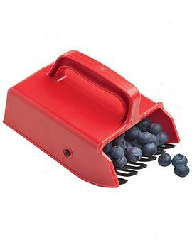 Berry Comb