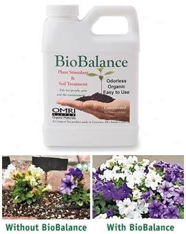 Biobalance Plajt Stimulant