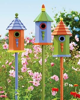 Bittersweet Rainbow Birdhouse