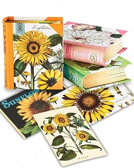 Book Box Annotate Cards