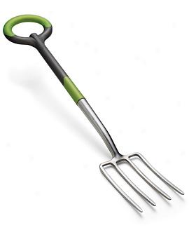 Border Fork