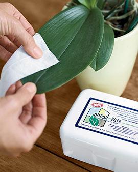 Botani-wipes, 50 Wipes