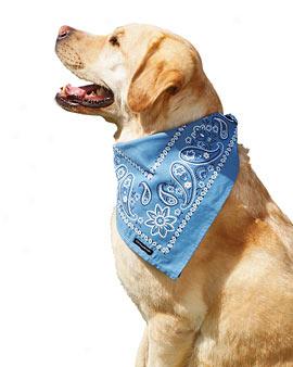 Bug-off Bandana