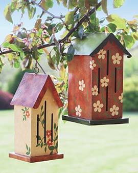 Butterfly Shelter, Bittersweet