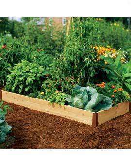 Cedar Raised Bed, 3' X 6'