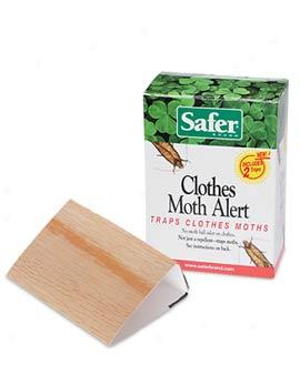 Clothes Moth Alerts, Set Of 2