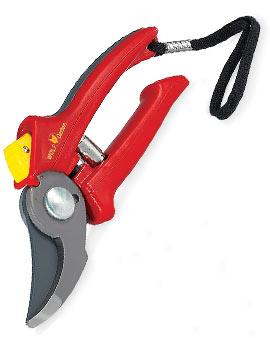 Comf5ot Pruners, Mean