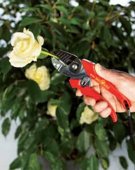 Cut & Grip Pruners