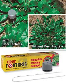 Deer Fortress, Set Of 6