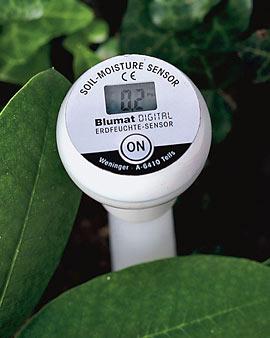 Digital Moisture Meter