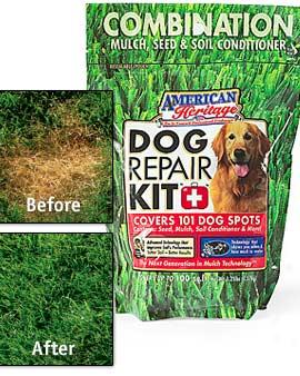 Dog Repair Grass