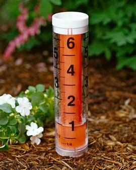 Easy Read Rain Gauge