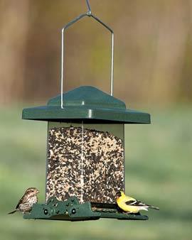 Easy View Squirrel-proof Birdfeeder