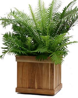 Estate Teak Planter, Square 20