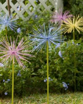 Everlasting Alliums, Set Of 2