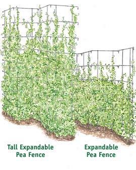 Expandable Pea Fence