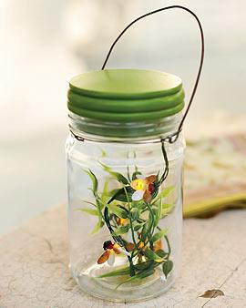 Firefly Jar