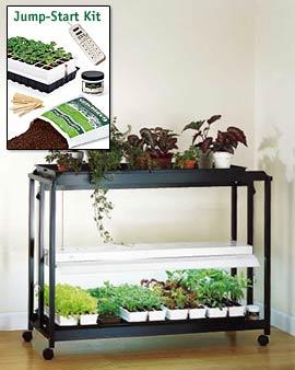 Floor Model Sunlite Garden With Jump-start Kit