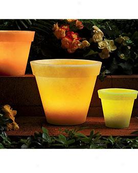 Flower Pot Luminaries, Set Of 3