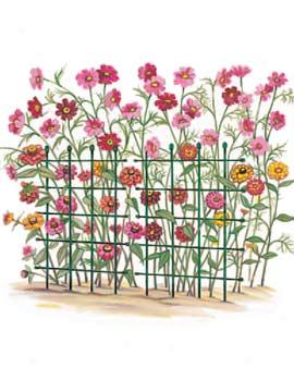 Flower Aid Grids, Set Of 3