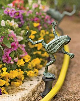 Frog Hose Guide