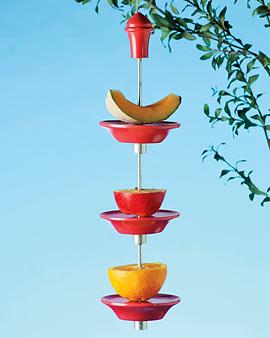 Fruit Feeder