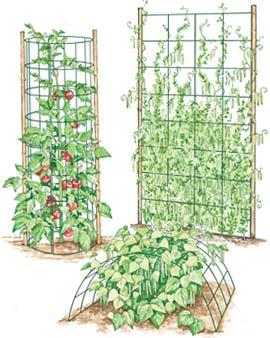 Garden Grids, Set Of 4