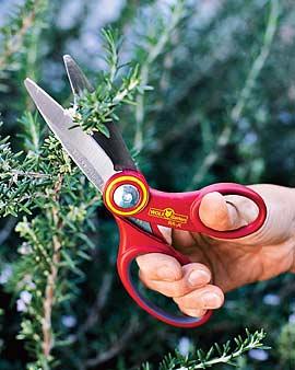 Garden Scissors