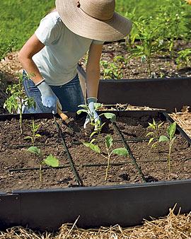 Gardening Grids, Set Of 2