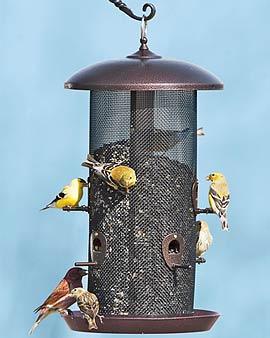 Giant Combo Birdfeeder