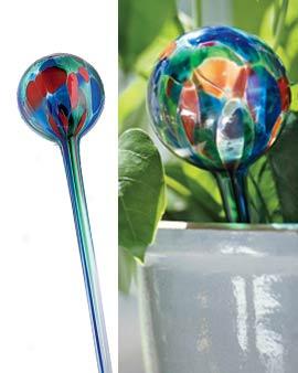 Glass Watering Bulb