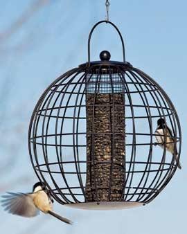 Globe Cage Feeder