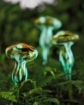 Glowing Mushrooms, Set Of 3