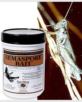 Grasshopper Control, 1 Lb.