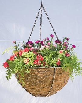Hanging Nest Basket, 18