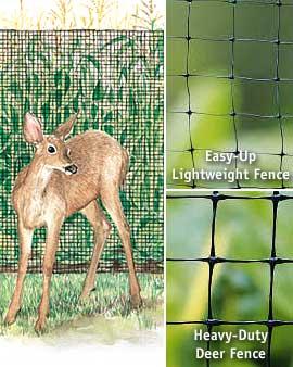 Heavy-duty Deer Fence