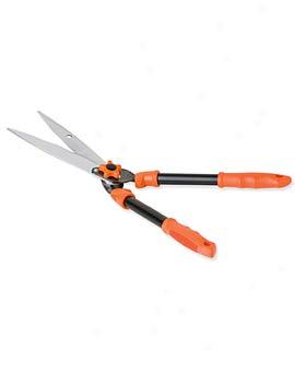 Hedge Shears