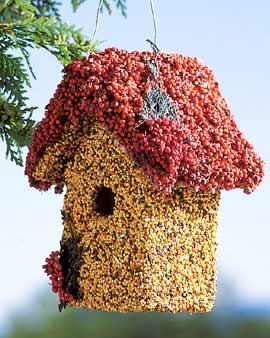 Holiday Seed House