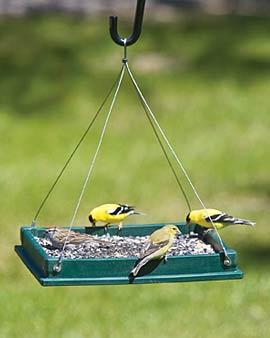 Hopper Birdfeeder