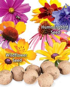 Hummingbird Seed Balls, Set Of 16