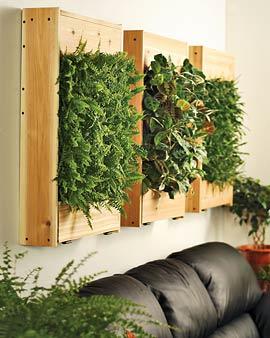 Indoor Living Wall Kit