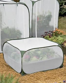 Low Insect Pop-up, 3' X 6'