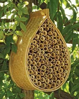 Mason Bee House