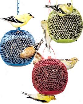 Mini-globe Feeders, Set Of 3