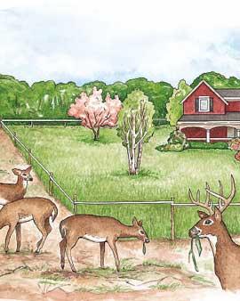 One-acre Deer Barrier