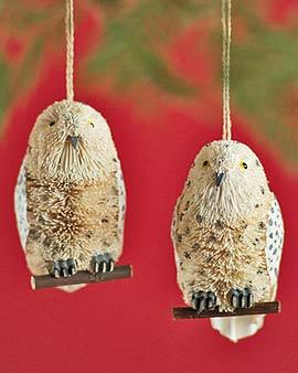 Owl Ornaments, Embarrass Of 2