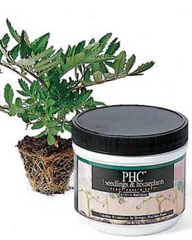 Palnt Health Care For Seedlings/houseplants 8 Oz