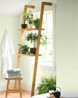 Plant Ladder